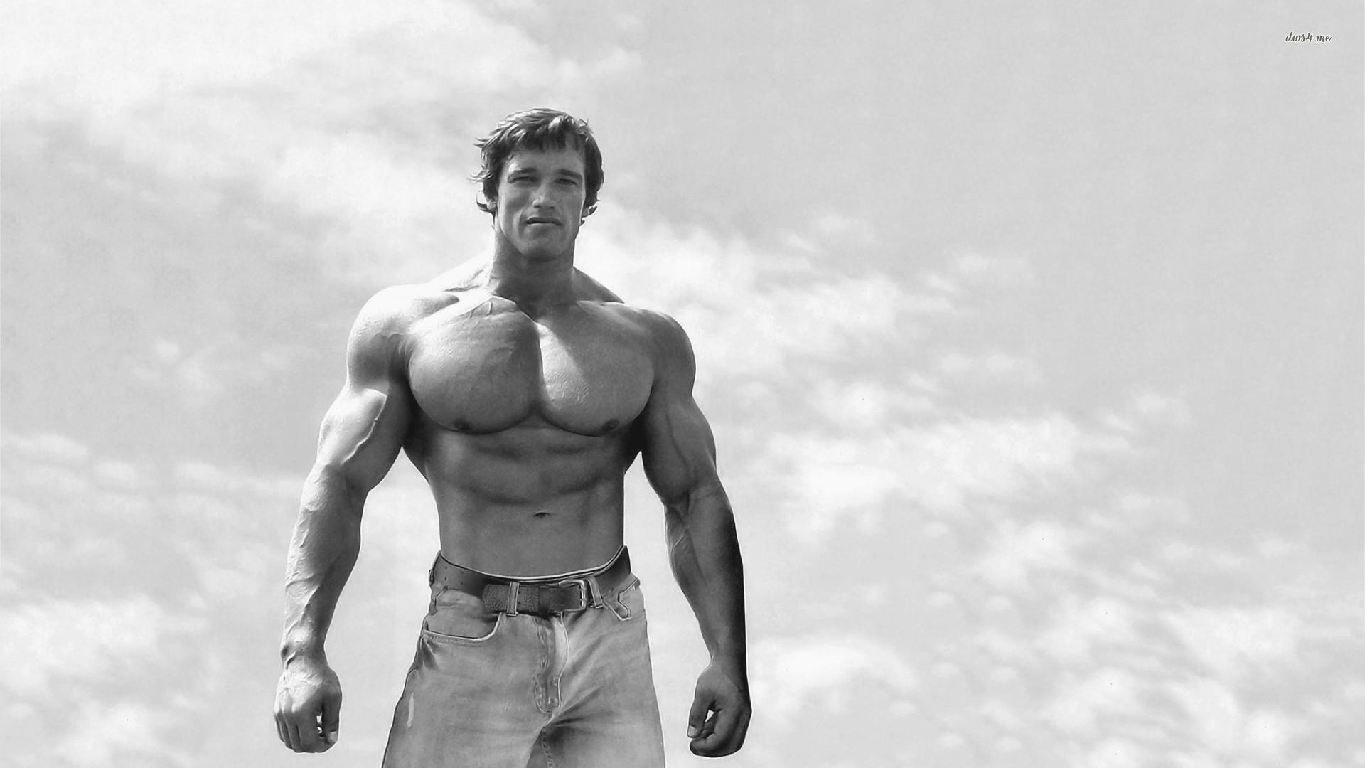 Arnold Schwarzenegger Wallpaper HD Download