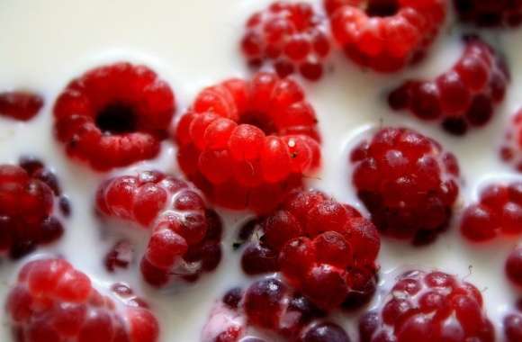 Raspberry wallpapers hd quality
