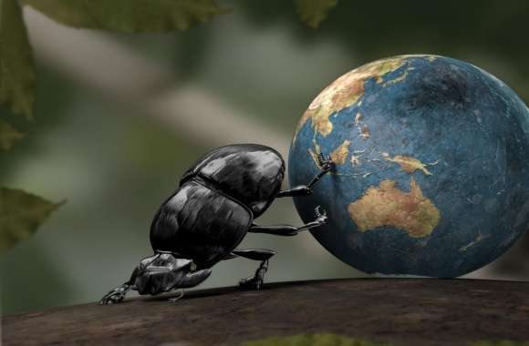 Beetle Illustration wallpapers hd quality