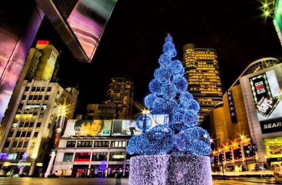 Christmas Tree, City