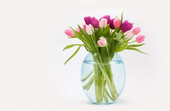 Easter Tulips Flowers Bouquet in a Vase wallpapers hd quality