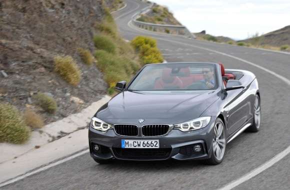 2014 BMW 4-Series Convertible wallpapers hd quality