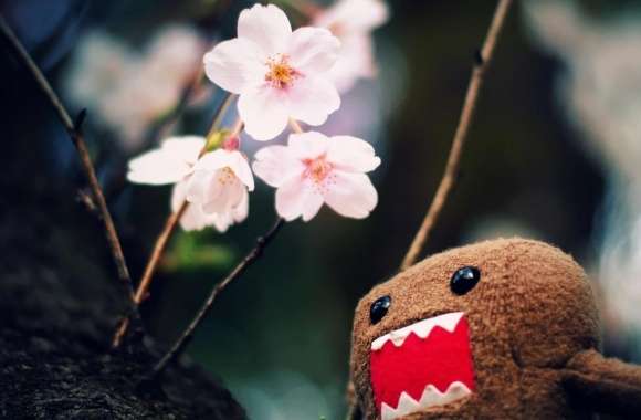 Domo Kun And Tree Blossoms wallpapers hd quality