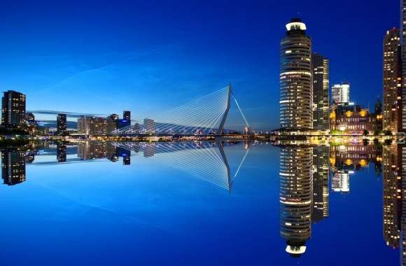 Rotterdam Skyline Night