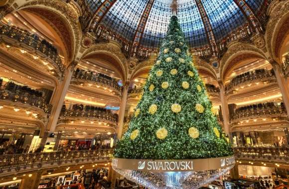 Christmas Tree in Paris wallpapers hd quality