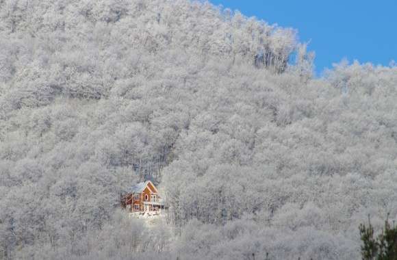 House In The Mountains