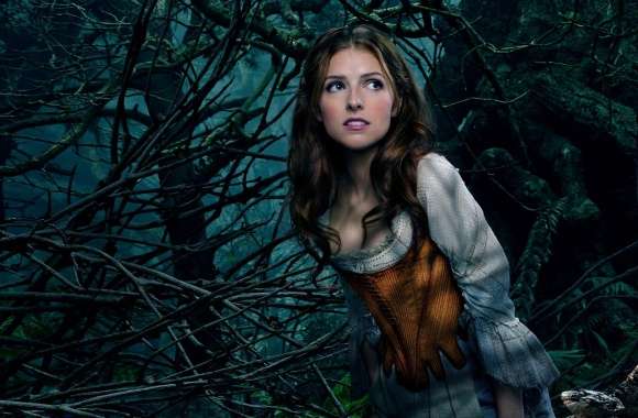 Into the Woods Anna Kendrick as Cinderella