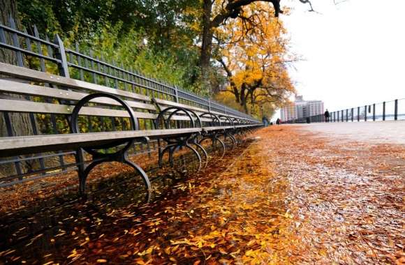 Row of Benches, Autumn wallpapers hd quality