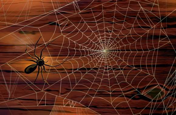 Spider Webs Hallowmas Halloween