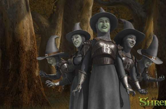 Witches, Shrek The Final Chapter wallpapers hd quality