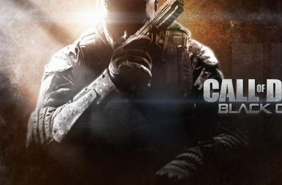 Call Of Duty Black Ops 2 2013