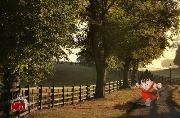 Goku Sunset