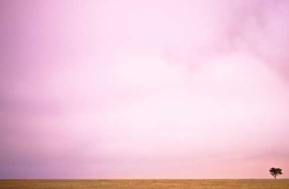 Pink Sky And Lone Tree