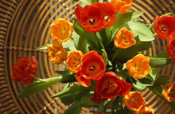Tulips for Mothers Day