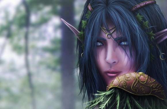 World Of Warcraft Elf