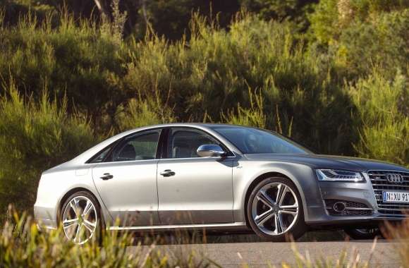 2014 Audi S8 near the forest wallpapers hd quality