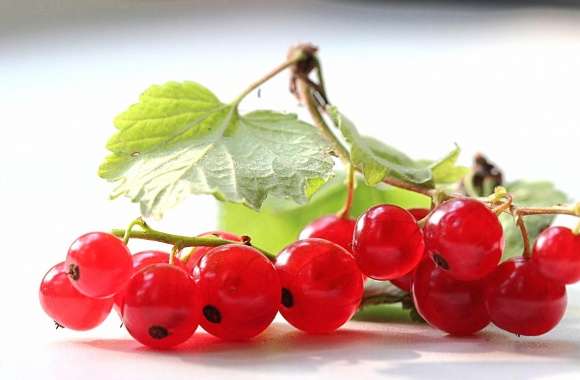 Amazing currant wallpapers hd quality