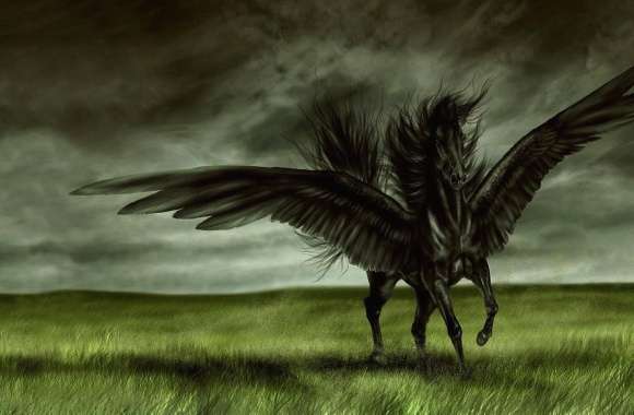 Black horse with wings digital