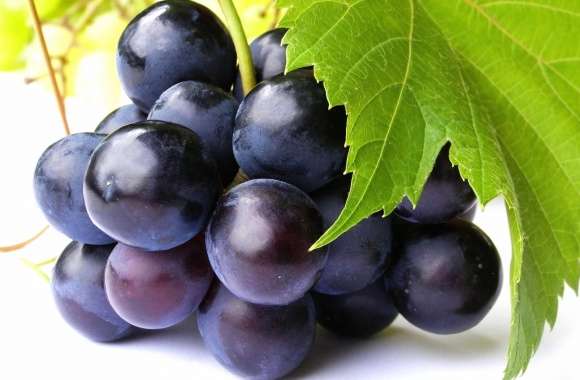 Black little grapes