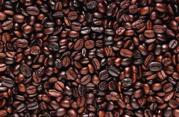 Coffee beans wallpapers hd quality