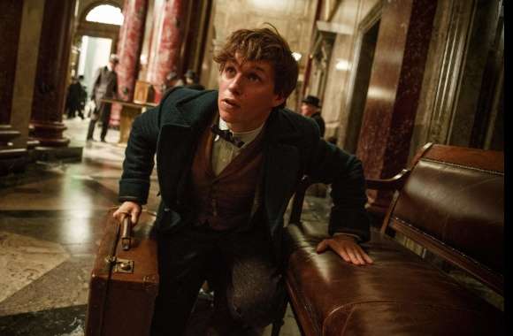 Fantastic Beasts And Where To Find Them wallpapers hd quality
