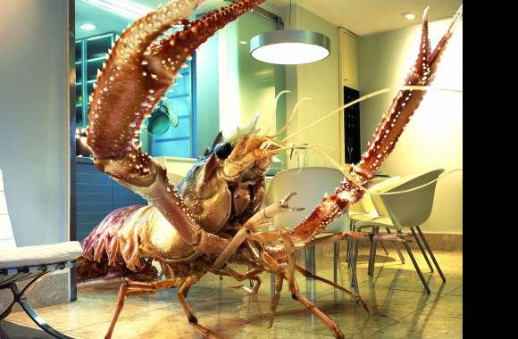 Funny huge lobster at home