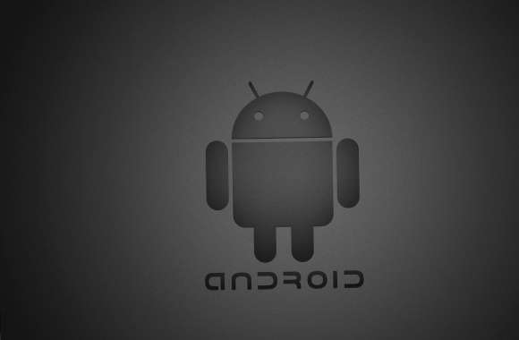 Gray graphite android