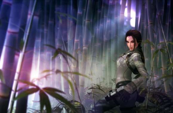 Lara Croft FanArt wallpapers hd quality