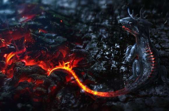 Lava little dragon wallpapers hd quality