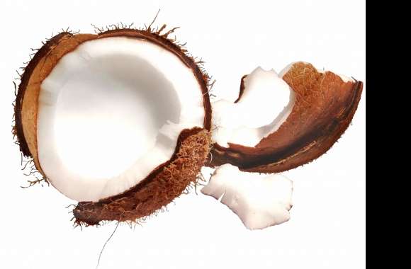 Open coconut wallpapers hd quality