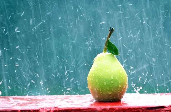 Pear under rain