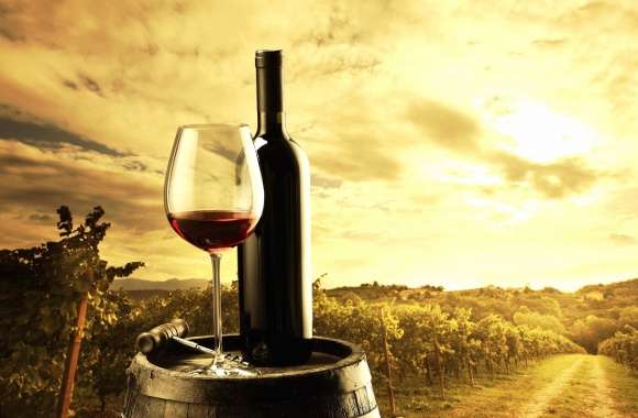 Sunset and wine wallpapers hd quality
