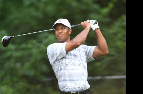 Tiger woods wallpapers hd quality