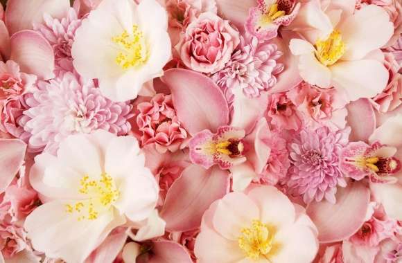 Wild Roses And Orchids wallpapers hd quality