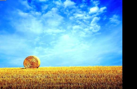 Bale of hay wallpapers hd quality