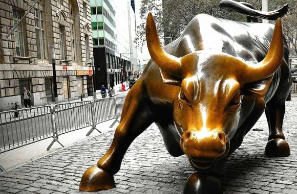 bull statue in manhattan wallpapers hd quality