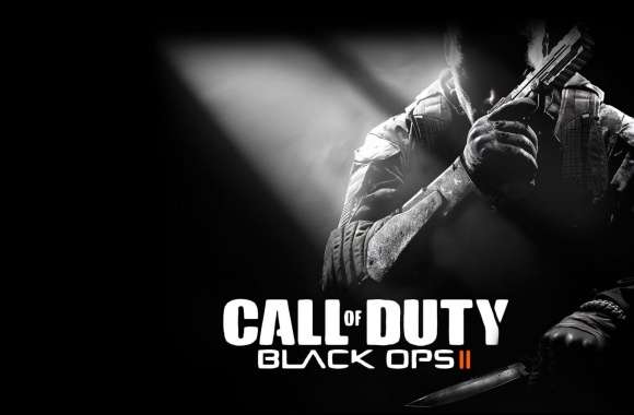 Call Of Duty Black Ops 2 wallpapers hd quality