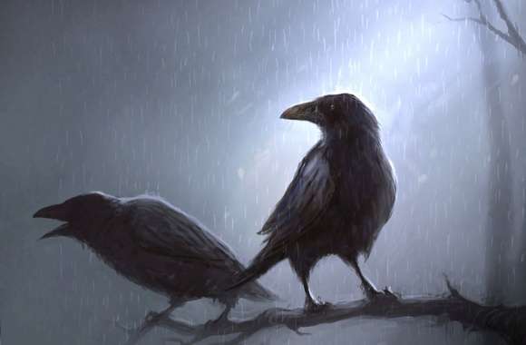 Crows standing in the rain on the branch