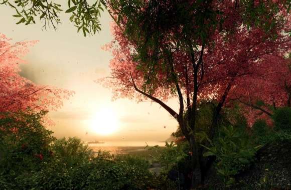 Crysis Video Game Sakura