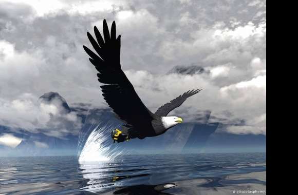 Eagle sea spectacular digitalblasphemy
