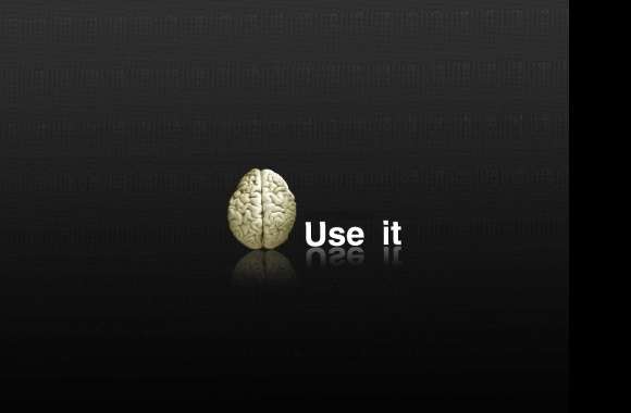 Funny brain use it wallpapers hd quality