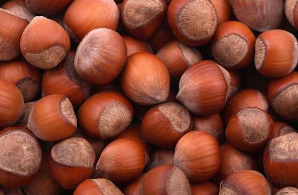 Hazelnuts piled up wallpapers hd quality