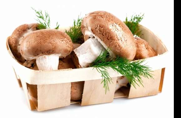 Little basket of mushrooms wallpapers hd quality
