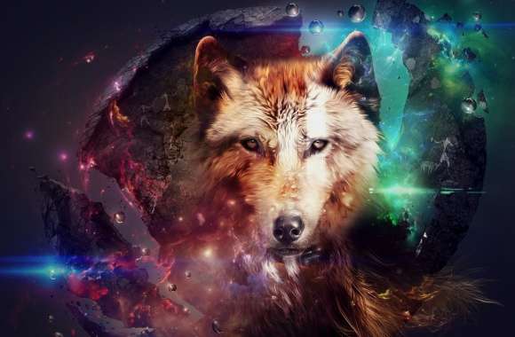 Magic Wolf wallpapers hd quality