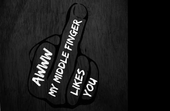 Middle Finger wallpapers hd quality