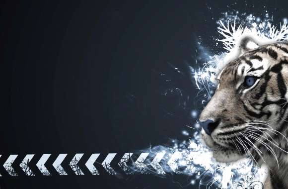 Photoshop tiger
