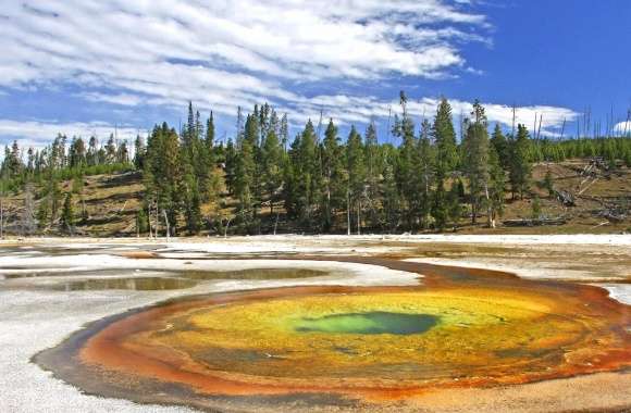 Puddle geyser wellowstone