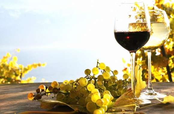Sunrise and wine wallpapers hd quality