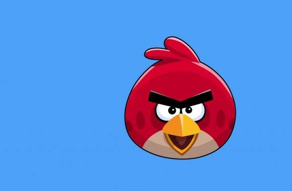 Angry Bird wallpapers hd quality