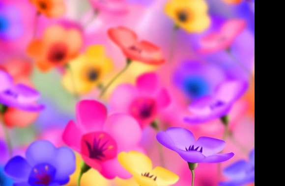 Colorfull flowers